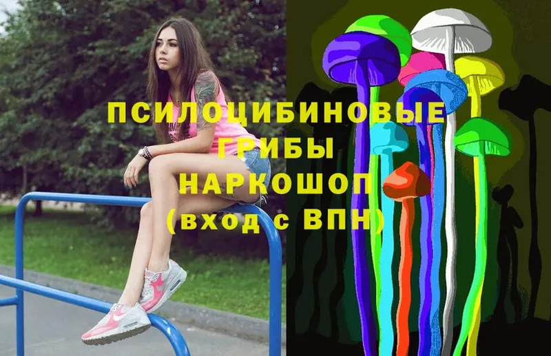 KRAKEN   Северодвинск  Псилоцибиновые грибы Magic Shrooms 